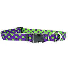 Polka Dot Collar and Lead.