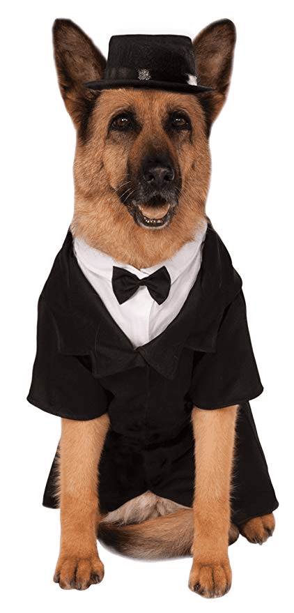 Dapper Dog Costume.
