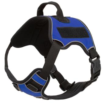 Quest Multi-Purpose Dog Harness.