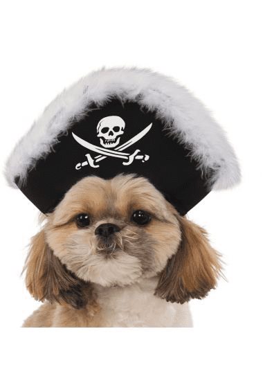 Pirate Hat Pet Costume.