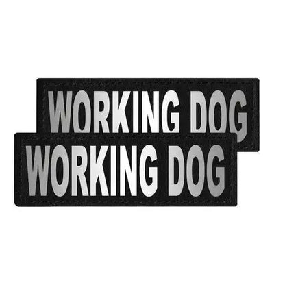 Removable Reflective Patches (Set of 2).
