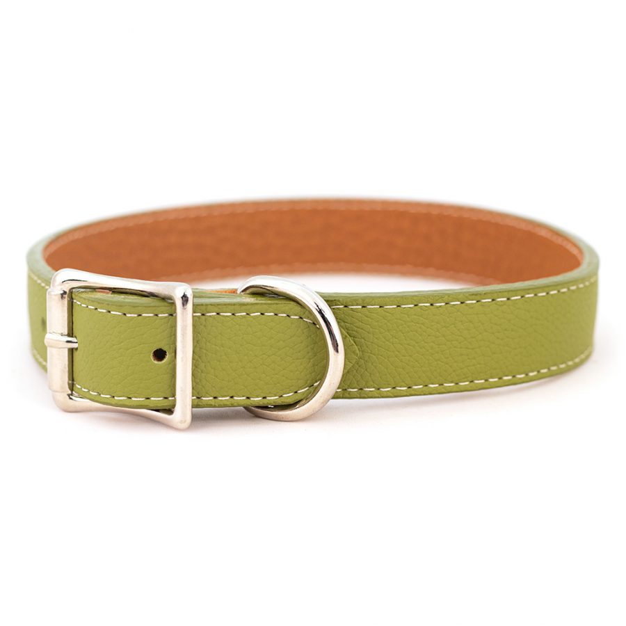 Tuscan Italian Leather Collar & Leash (Green).