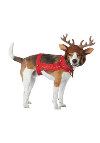 Dog Reindeer Costume.