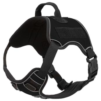 Quest Multi-Purpose Dog Harness.