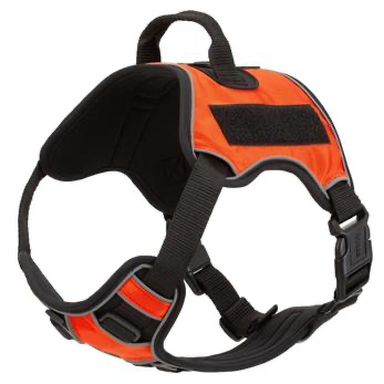 Quest Multi-Purpose Dog Harness.