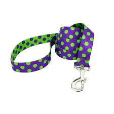 Polka Dot Collar and Lead.
