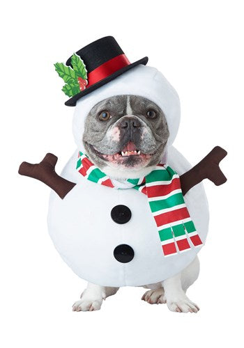 Snowman Dog Costume.