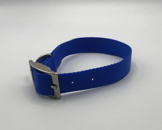 Blue nylon collar with metal buckle.