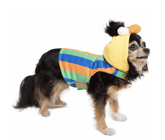 Bert Pet Costume.