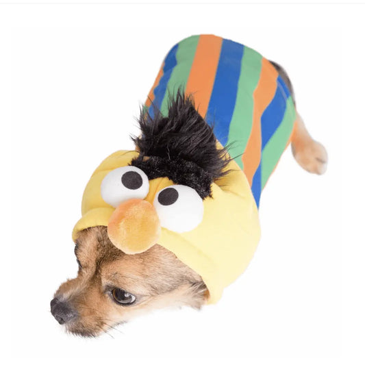 Bert Pet Costume.