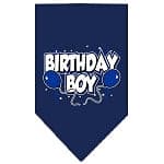Birthday Boy Bandana.