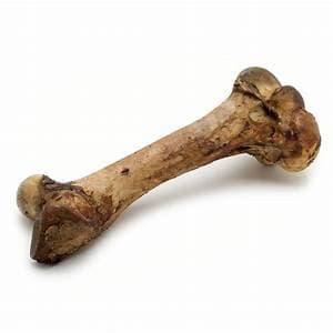 Mammoth Bone.