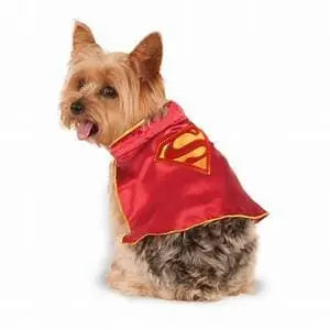 SuperGirl Cape Pet Costume.